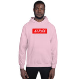 Box Logo Hoodie - Red Logo